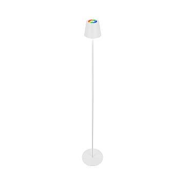 Piantana Moderna Coloris Metallo Bianco Led Integrato 6W 2700K