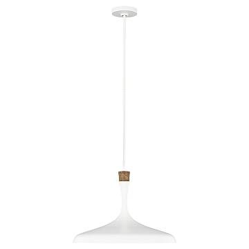 Sospensione Contemporanea Darwin Acciaio Bianco Opaco Legno 1 Luce E27