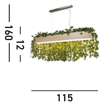 7231