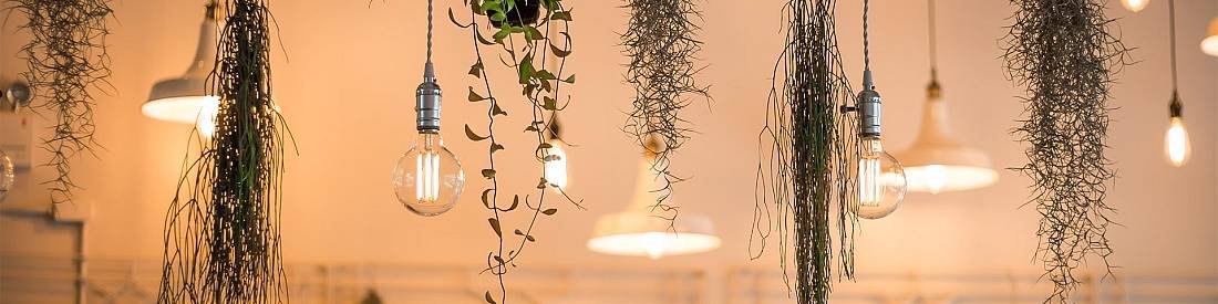 Lampadari e Sospensioni Lampadari e Sospensioni
